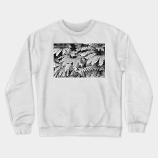 Forest Ferns Crewneck Sweatshirt